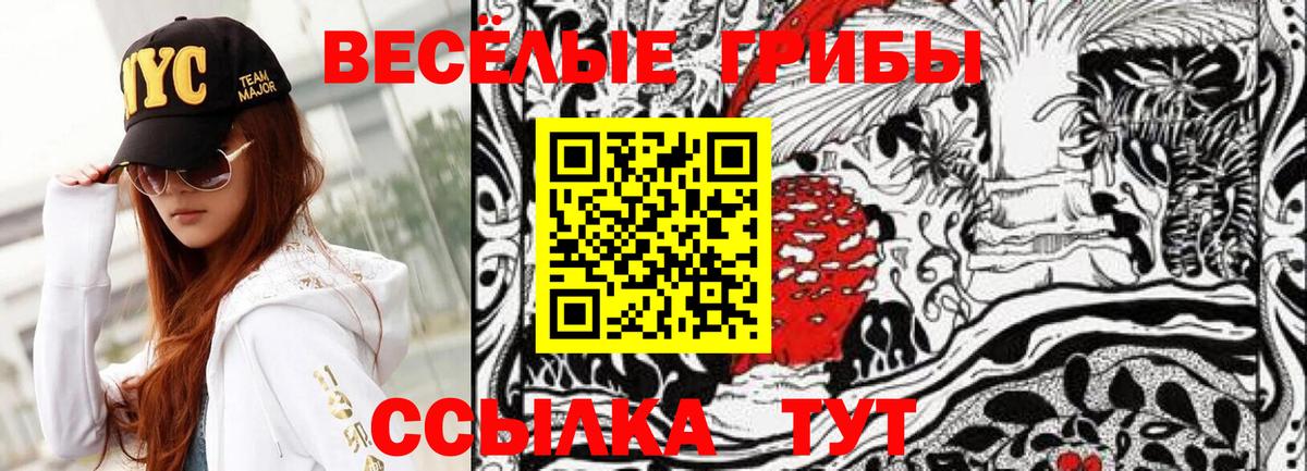 Киселёвск  Псилоцибиновые грибы Psilocybine cubensis  Вход с VPN 