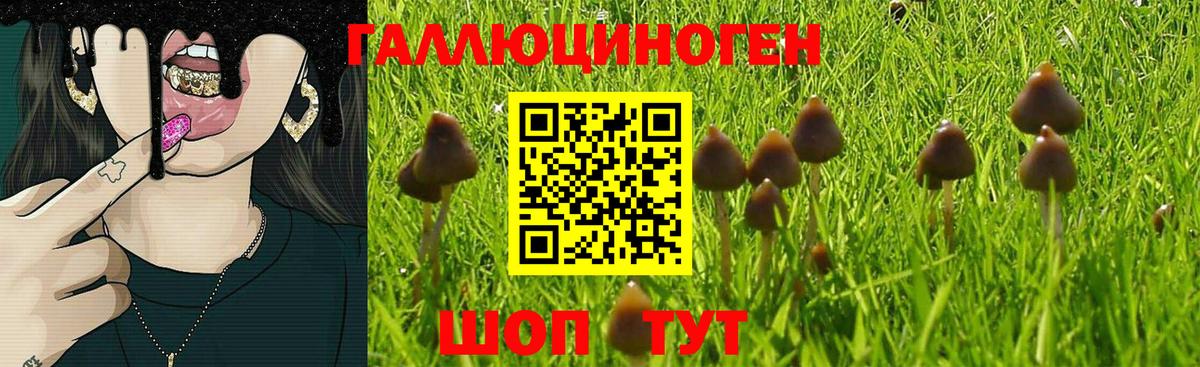 Псилоцибиновые грибы Magic Shrooms Киселёвск